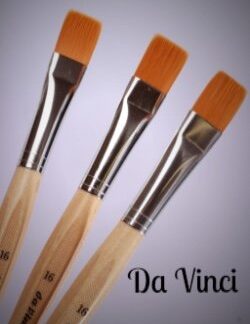 Penseel Da Vinci